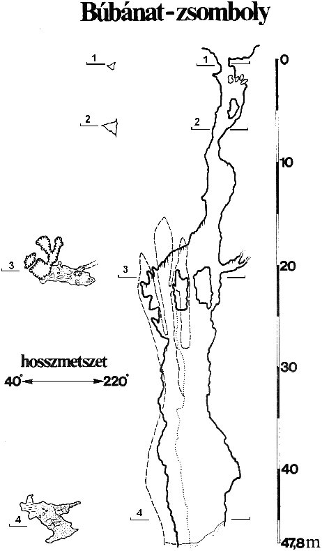 Bbnat-zsomboly trkpe