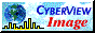 CyberView Image