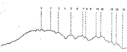 A Koncsisztagerinc lrajza K-rl